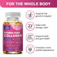 Hydrolyzed Collagen + Hyaluronic Acid - Beauty & Joint Support